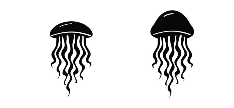 jellyfish, transparent, soft sea creature with an umbrella-shapJellyfish, soft, transparent sea creature. A gelatinous, usually transparent marine organism with an umbrella-shaped body, the beled body