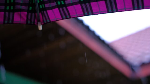 Umbrella shields viewer from rain