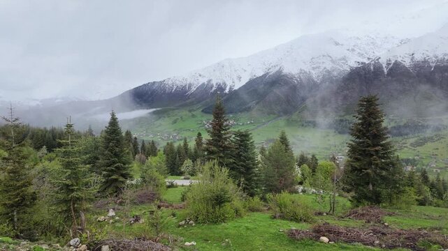 Misty Caucasus mountain landscape with snowcapped peaks and evergreen forest in spring meadow, serene valley view in Svaneti, Georgia