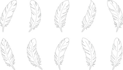 Black feather silhouette collection set featuring decorative bird plumage shapes isolated vector bundle with elegant nature design © LatifunNahar