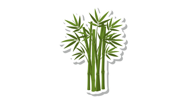 Bamboo plant with green stems.