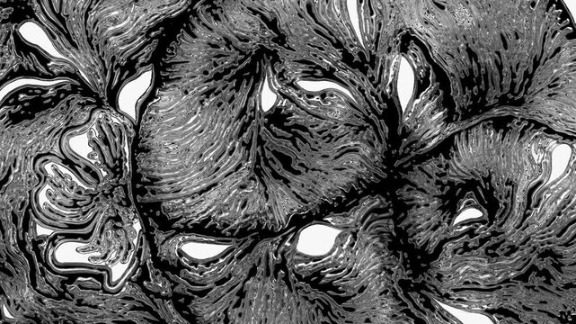 Black and white viscous liquid growing abstract pattern
