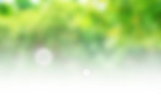 Abstract Blurred Green Nature Background with Soft Bokeh and Copy Space