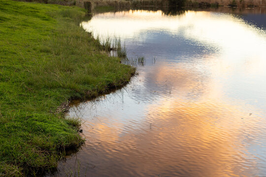 pond, reflections at sunset and dusk