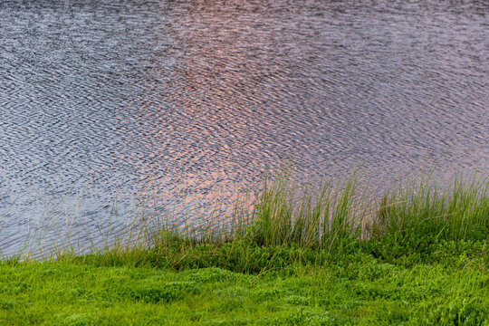 pond, reflections and grass at sunset and dusk