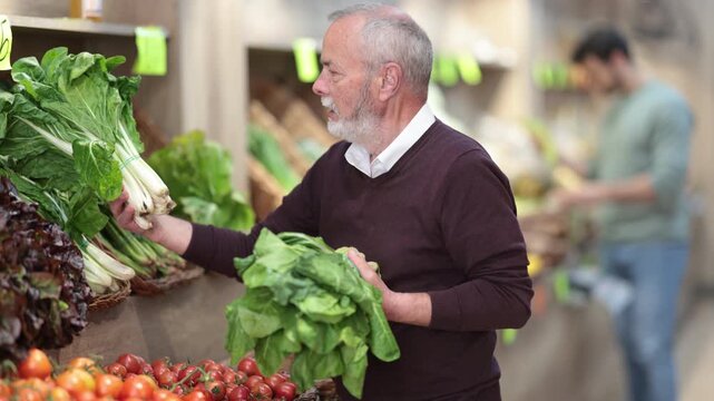Elderly man stands at vegetable store counter, choosing fresh swiss chard 