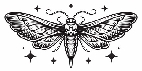 Detailed Moth Illustration With Stars Black And White Engraving © Juran