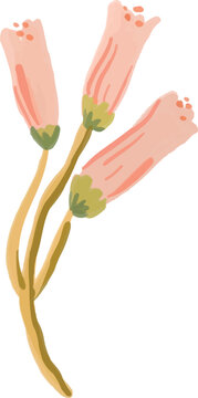 Hand drawn leaf folliage element illustration