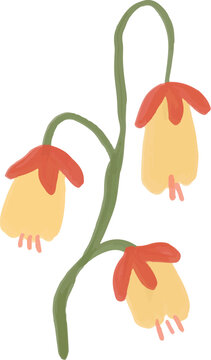 Hand drawn flower blooms element illustration