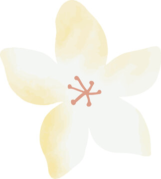 Hand Painted Floral Bloom Element Illustration