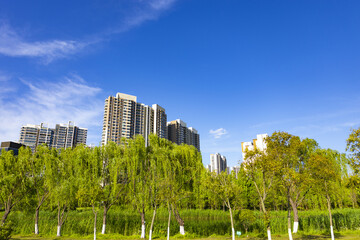 Modern apartment towers behind green urban park under blue sky © LuuDieuThanh