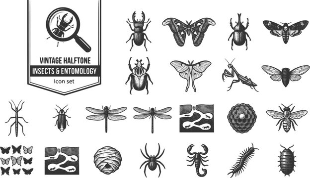 Dot Halftone Insect Vector Imágenes de Acherontia: descubre bancos de fotos, ilustraciones ...