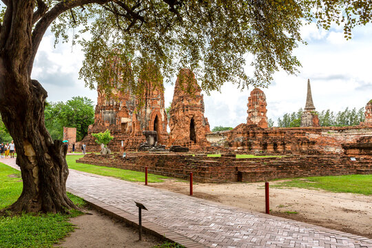 View of Weathered Brick Prangs and Temple Ruins on a Grassy Field at Ayutthaya