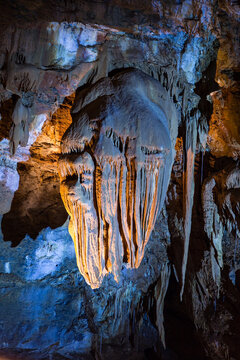 Concr&eacute;tions imitant une pieuvre dans une grotte d&eacute;velopp&eacute;es au contact de dolomies et du calcaire. Grotte de Trabuc, grotte aux 100 000 soldats, Mialet proche Anduze, C&eacute;vennes, Gard