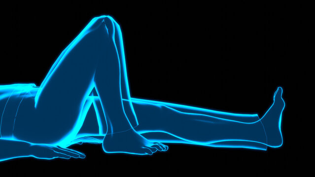 Hologram Closeup Supine Unilateral Knee Flexion Tech Scan