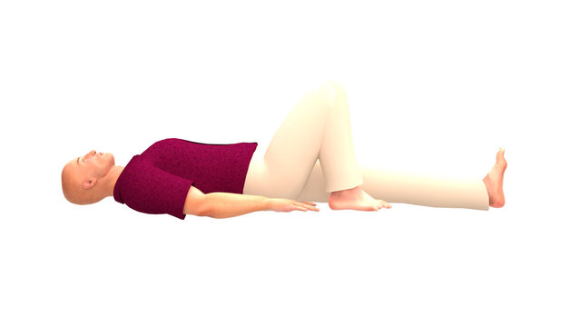 Human Profile Supine Unilateral Knee Flexion Isolated Alpha
