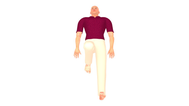 Human Top View Supine Unilateral Knee Flexion Isolated Alpha