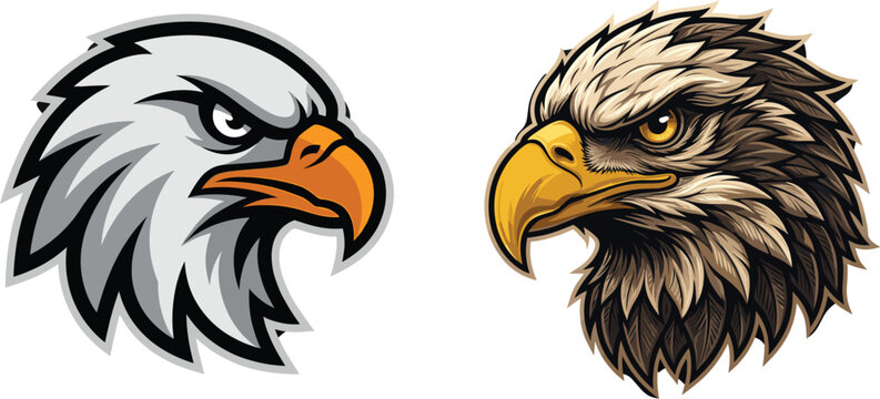 Eagle head vector illustration set featuring a fierce sports mascot style logo and a detailed realistic golden eagle profile