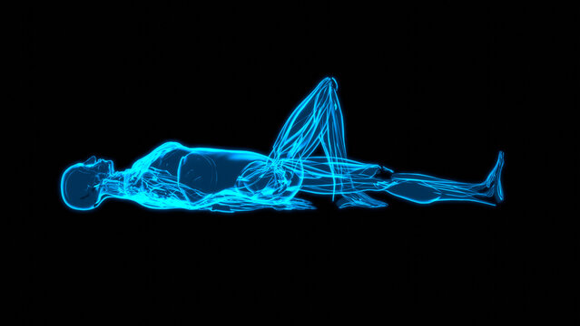 Hologram Muscle Profile Supine Unilateral Knee Flexion Screen