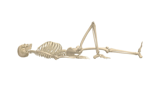 Skeleton Profile Supine Unilateral Knee Flexion Mask Alpha