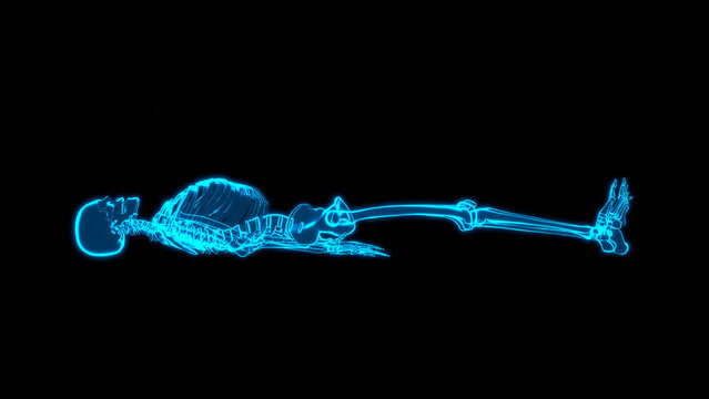 Hologram Skeleton Profile Supine Bilateral Knee Extension Scan