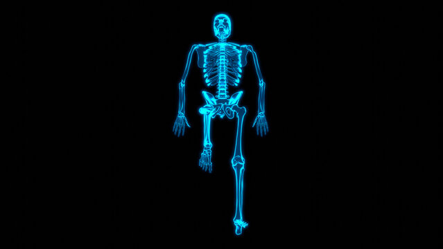 Hologram Skeleton Top View Supine Unilateral Knee Flexion Scan