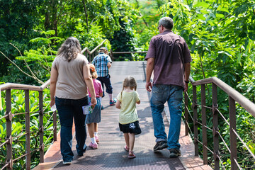 Fototapeta premium Family exploring lush green walkway.