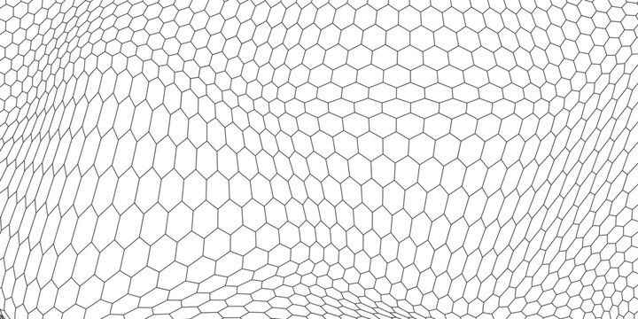 Fishing or soccer net. Repeated hexagon pattern. Black wired mesh texture isolated on white background. Metallic or fabric fence, cage or lattice structure. Vector graphic Illustration.