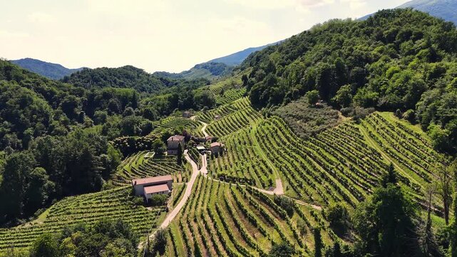 Aerial landscape view over the italian prosecco hills, vineyard rows, on a sunny day
