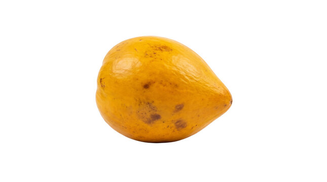Single ripe lucuma fruit on a white background.