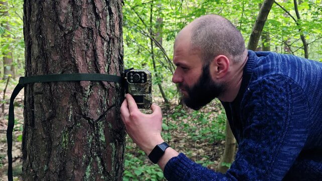 Trail camera mounted on a pine tree being set up and checked by a bearded man in the forest