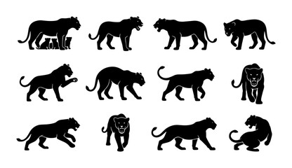 Black Panther Silhouette Collection, Wild Cat Vector Icons, Big Cat Poses, Feline Animal Graphics, Powerful Predator Silhouettes, Dynamic Wildlife Illustrations © Priyanka