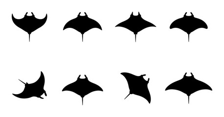 Manta Ray Silhouette Collection, Ocean Wildlife Icons, Marine Animal Vector Graphics, Aquatic Creature Set © Aminur