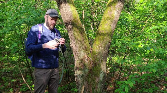 Trail camera being removed from a mossy tree trunk by a hiker in the forest