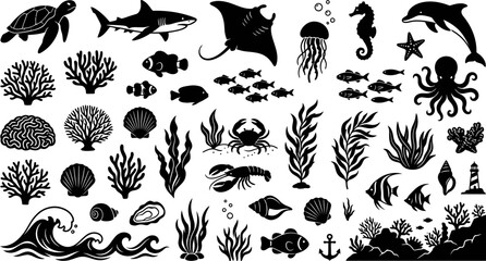 black and white illustrations of various sea creatures and plants on white background © Afia