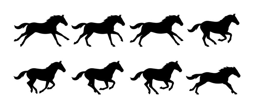 Running Horse Silhouette Animation Sequence, Galloping Equine Motion Graphics, Black Horse Vector Art for Sports and Wildlife