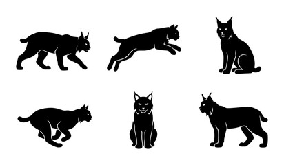 Six Silhouette Lynx Vector Icons, Wild Cat Poses Collection, Feline Animal Graphic Elements, Black and White Wildlife Set © Muhammad