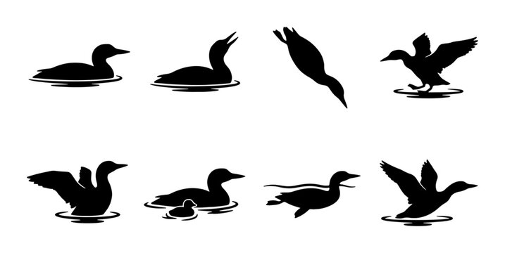 Diverse Loon Bird Silhouettes, Waterfowl Collection, Diving and Floating Poses, Wildlife Vector Graphics