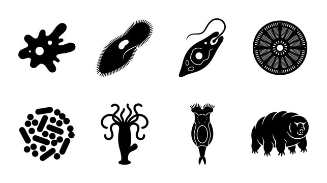 Microscopic Organisms Vector Icons Set, Amoeba, Paramecium, Euglena, Bacteria, Hydra, Rotifer, Tardigrade Illustrations, Science and Biology Graphics