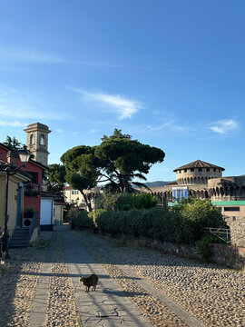 sarzana