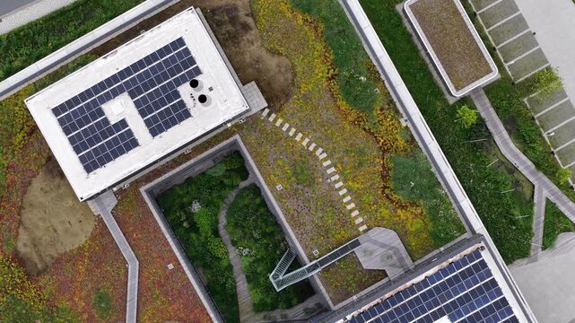 Modern building featuring green roof and solar panels