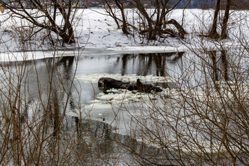 Drifting ice chunks float on a dark, nascent river, signaling early spring's thaw. Leafless trees on snow-covered banks reflect in the water, a stark, tranquil scene of seasonal transition © PhotoChur
