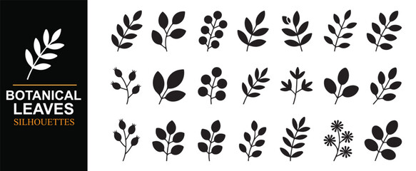 Fototapeta premium Elegant Botanical Leaves Set Featuring Organic Plant Silhouette Elements