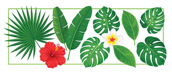 Tropical leaf and flower collection, exotic green monstera and palm foliage vector, red hibiscus and white plumeria blossoms for summer design © Muhammad