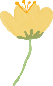 Hand Painted Floral Bloom Element Illustration