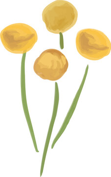 Hand Painted Floral Bloom Element Illustration