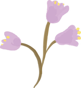 Hand Painted Floral Bloom Element Illustration