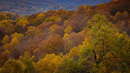 Obraz premium autumn landscape in the mountains