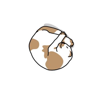 Cute sleeping cat vector illustration curled up in a ball isolated on white background