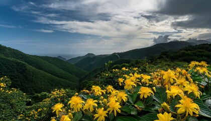 Fototapeta premium Close Up Shot Of Vibrant Yellow Flowers Blooming Amidst Lush Green Foliage Capturing The Beauty Of Nature In A Natural Setting